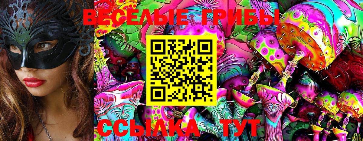 Галлюциногенные грибы MAGIC MUSHROOMS  Вход с VPN  Янаул 
